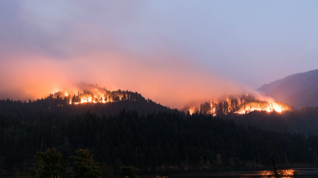 The Eagle Creek Fire And What Can We Do About It