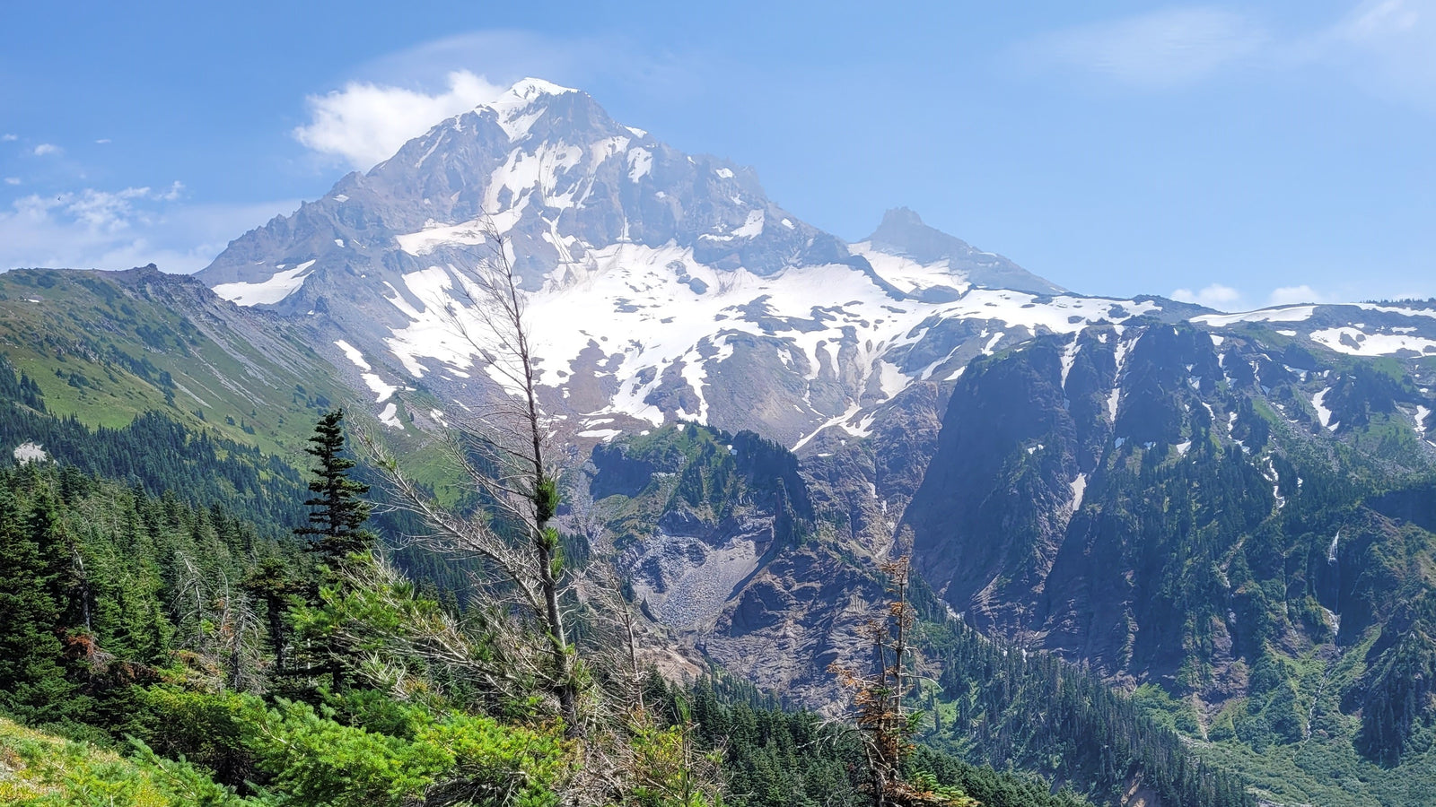 Trip Report: Becky on the Timberline Trail